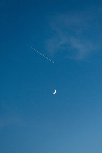 White Bird Flying Under Blue Sky · Free Stock Photo