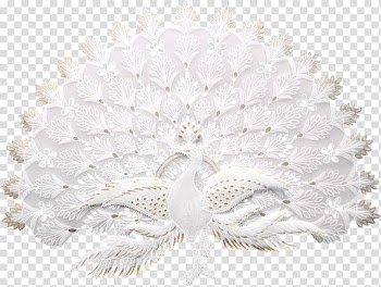 White bird illustration, Asiatic peafowl Bird, White Peacock transparent background PNG clipart