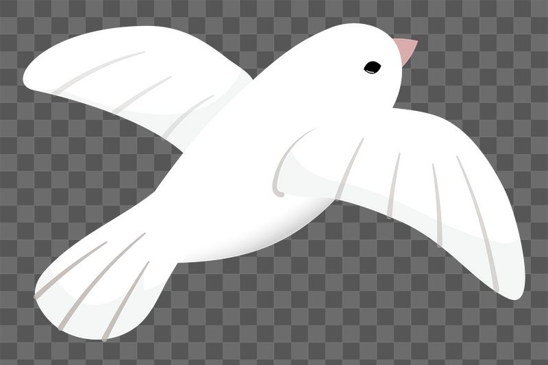 White bird png sticker, cute | Free PNG Illustration - rawpixel