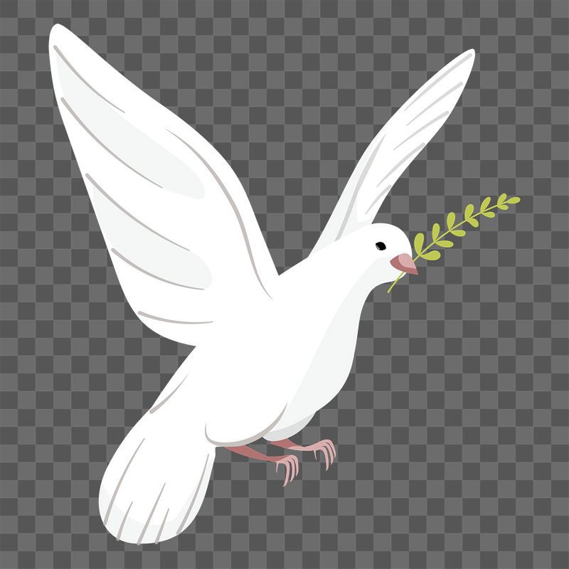 White bird png sticker, cute | Free PNG Illustration - rawpixel