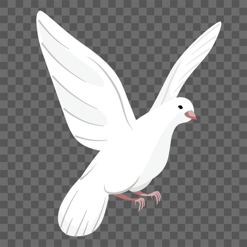 White bird png sticker, cute | Free PNG Illustration - rawpixel