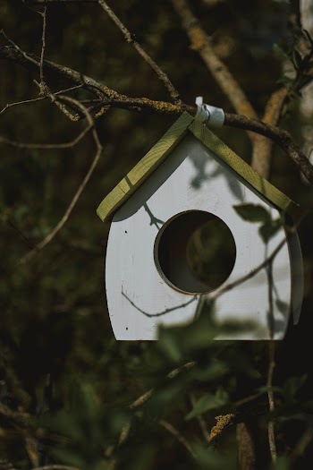 White Birdhouse