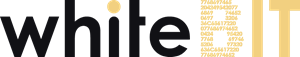 White BIT Logo Vector
