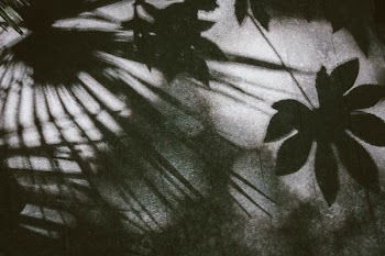 White, Black, and Gray Floral Textile