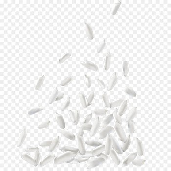 white black-and-white
