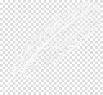 White Black Angle Pattern, Almost colored feathers transparent background PNG clipart