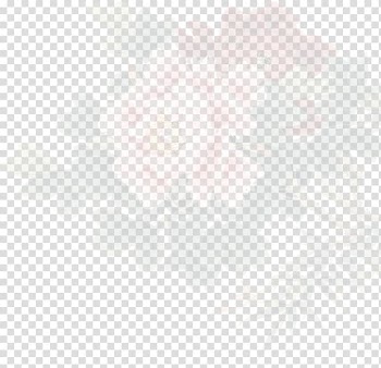 White Black Angle Pattern, Peony transparent background PNG clipart