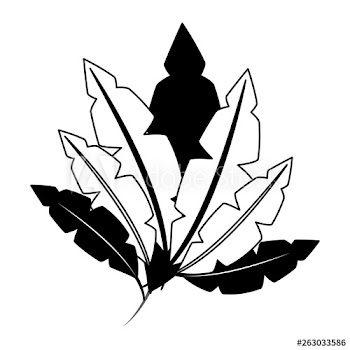 white black feathers decoration