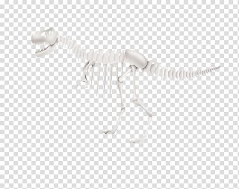 White Black Pattern, Dinosaur Skeleton transparent background PNG clipart