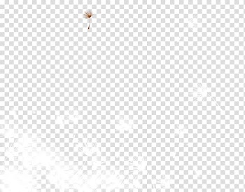 White Black Pattern, White dandelion transparent background PNG clipart