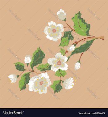 White blossom ornament vector image
