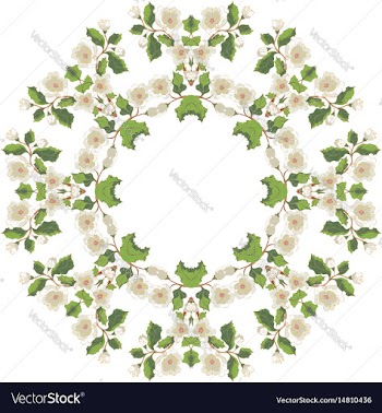 White blossom ornament vector image
