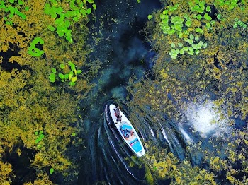 White Boat on Body of Waters Surrounded by Lilies