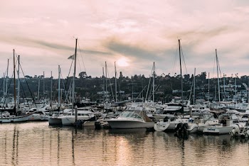 White Boats