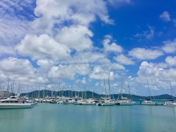 White Boats on Body of Water