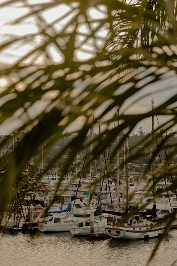 White Boats on Body of Water