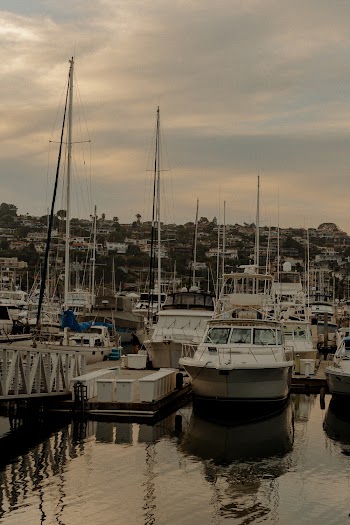 White Boats on Water