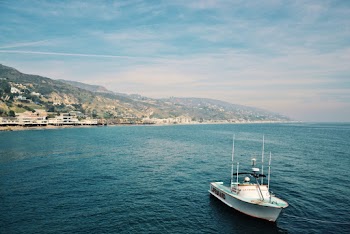 White Bow Rider Boat on Water