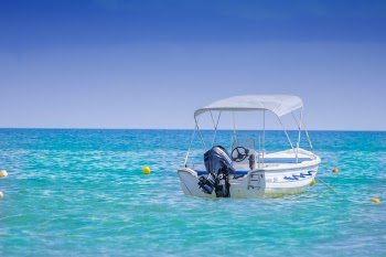 White Bow Rider Parked on the Body of Water