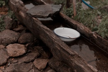 White Bowl
