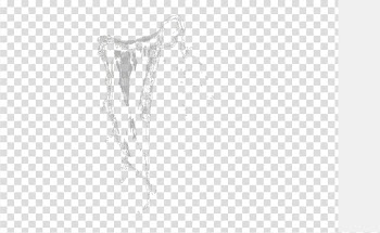 White Brand Pattern, A beach of white water transparent background PNG clipart