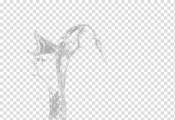White Brand Pattern, A beach of white water transparent background PNG clipart