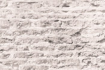 White brick wall background | Free stock vector - 915872