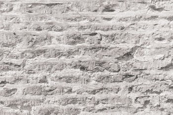 White brick wall background | Free stock vector - 916025