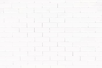 White brick wall | Free stock vector - 597657