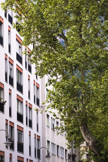 White Building Exterior