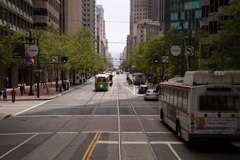 white bus on roadway