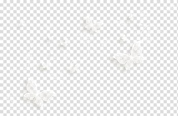 White butterflies , White Symmetry Black Pattern, Floating white butterfly transparent background PNG clipart
