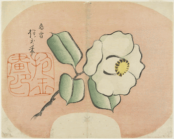 White Camellia (1830s) print in high | Free Photo - rawpixel