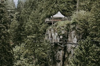 white canopy tent surrounded by green trees