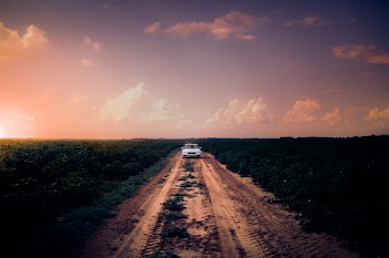 White Car on Dirt Road in the Middle of Grass Field
