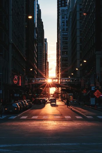 white car on road during orange sunset