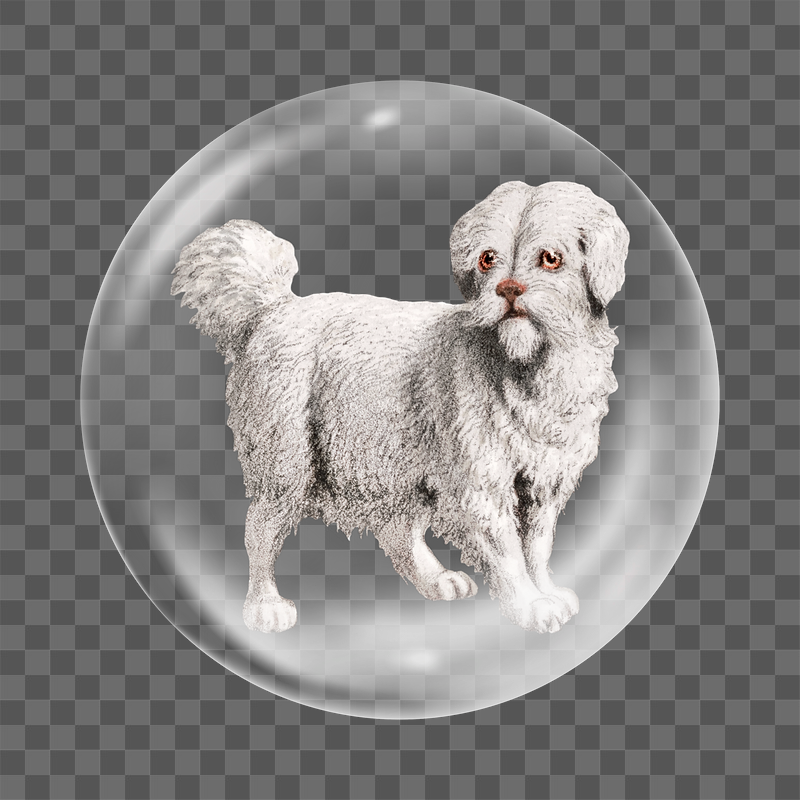 White Carnivora dog png sticker, | Free PNG - rawpixel