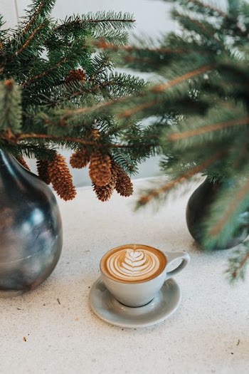 white ceramic coffee mug on saucer in front green leaves