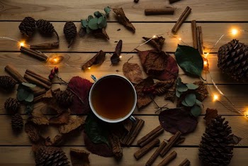 white ceramic mug ner dried leaves and orange string light