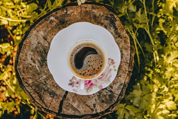 White Ceramic Saucer With Water