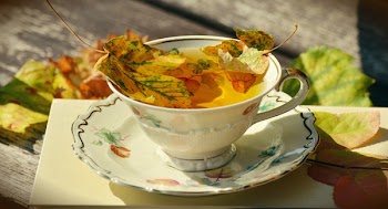 White Ceramic Teacup on Saucer