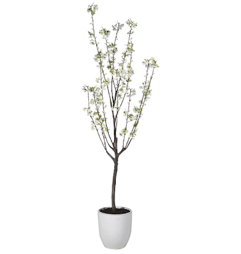 White Cherry Blossom Tree In Cream Pot — Berrys and Grey