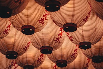 White Chinese Lantern Photography