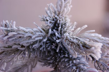 White Christmas Tree