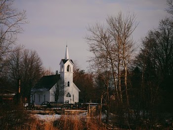 white church near trees at daytime