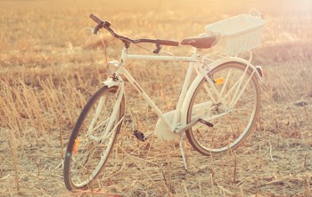 White City Bike on Wheat Field
