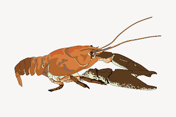 White-clawed crayfish collage element illustration | Free Vector - rawpixel