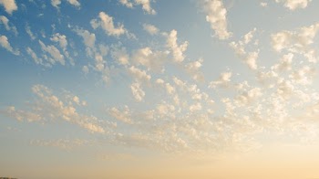 White Clouds