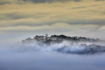 White Clouds