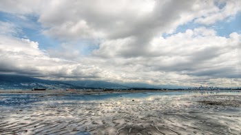 White Clouds